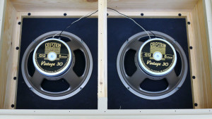 the speakers inside a 2x12 combo amp. source: http://www.gad.net/Blog/2011/07/29/1963-fender-bassman-face-lift/